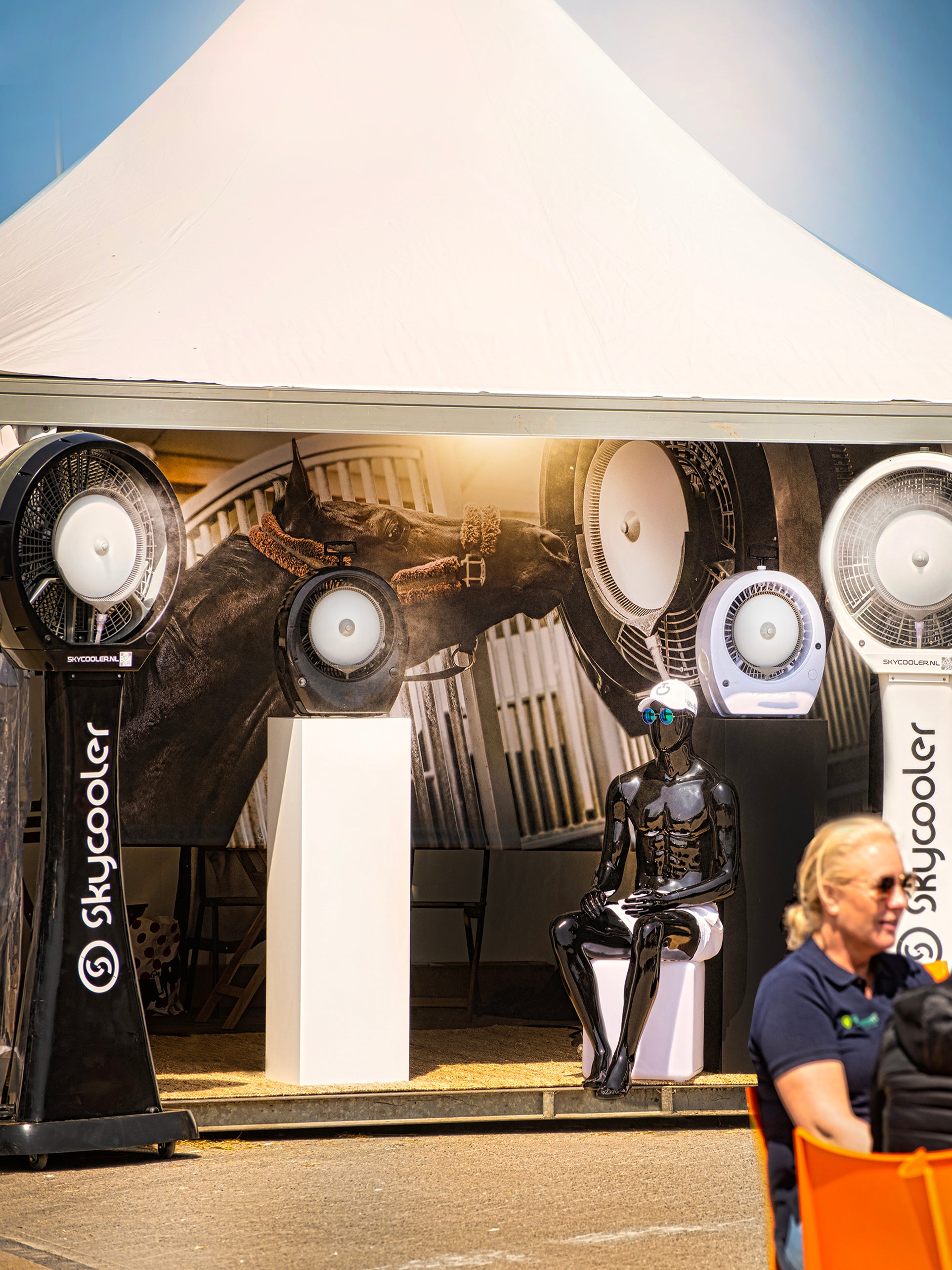 Un encuentro fortuito: mi aventura con Skycooler Big Man en el NK Dressage